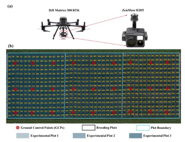 Figure  1