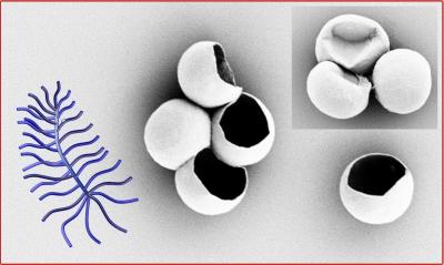 Pausing Crystal Symmetry