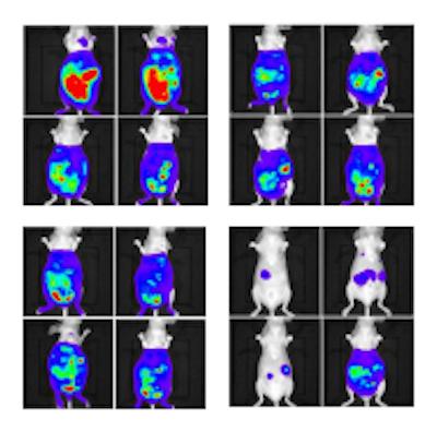 Tumor onset suppression in mice using RGD with the metalloenzyme