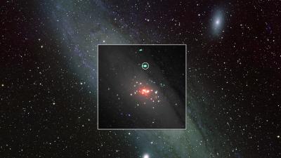 XMM-Newton X-Ray Data onto an Optical View of the Andromeda Galaxy