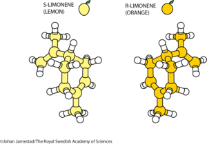 Different properties of mirror-image molecules