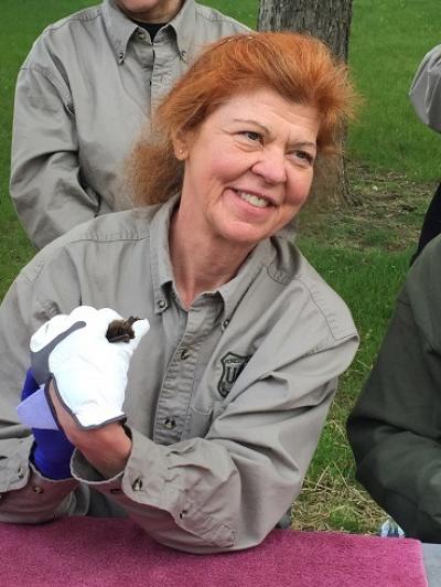 Bats Released after Treatment for WNS Last Winter