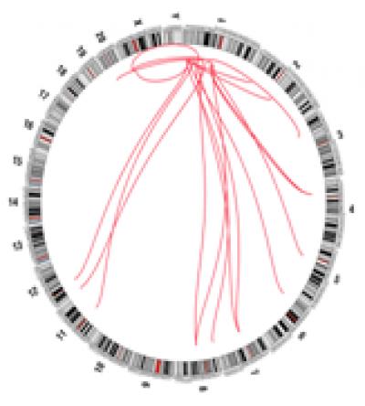 Circular Chromosome Map