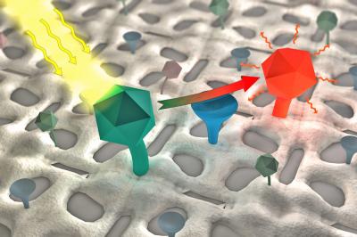 Biosensor Principle for Detecting Chemicals in Water