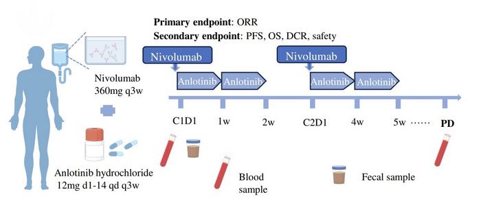 BGI Genomics New Combined Therapy for Advanced Stomach Cancer