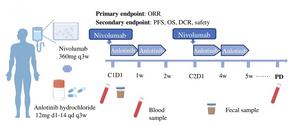 BGI Genomics New Combined Therapy for Advanced Stomach Cancer