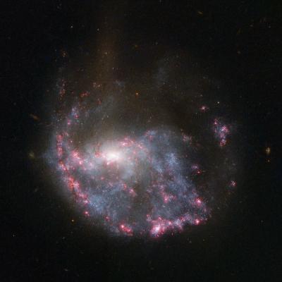 Hubble View of NGC 922