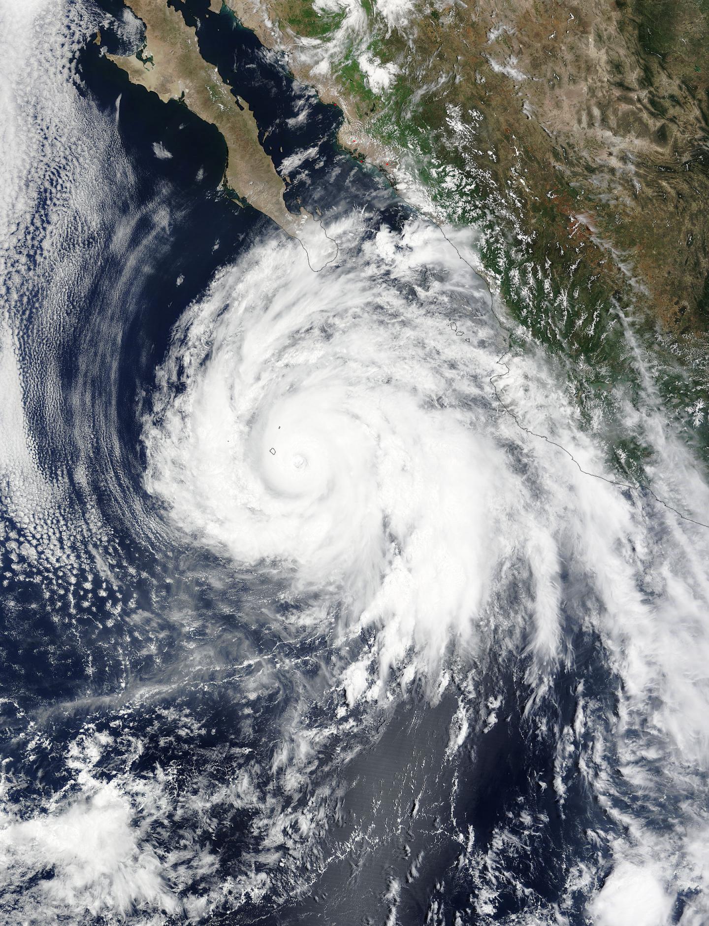 MODIS Image of Dolores