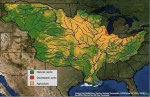 Heavy rains wash fertilizer-derived nitrogen from croplands into Gulf of Mexico