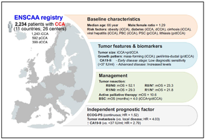 Initiative to map the cholangiocarcinoma (CCA) landscape in Europe will help improve patient outcomes