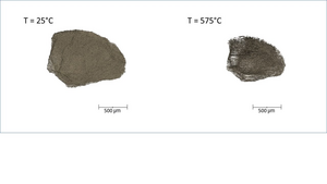 Untreated bio mass particles 4a