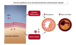 Graphical Abstract