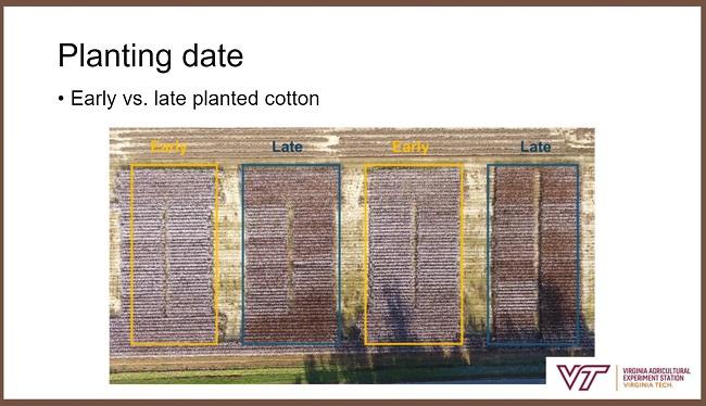 Planting Date