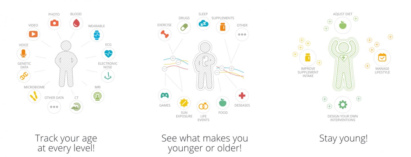 Young.ai - artificial intelligence for tracking aging in humans