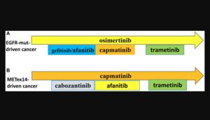 Figure 2: Preemptive combinations.