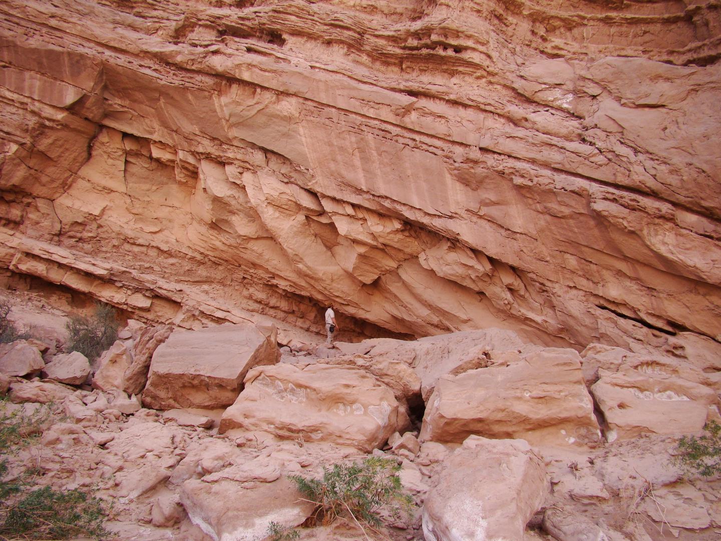 Sandstone of the Precordillera