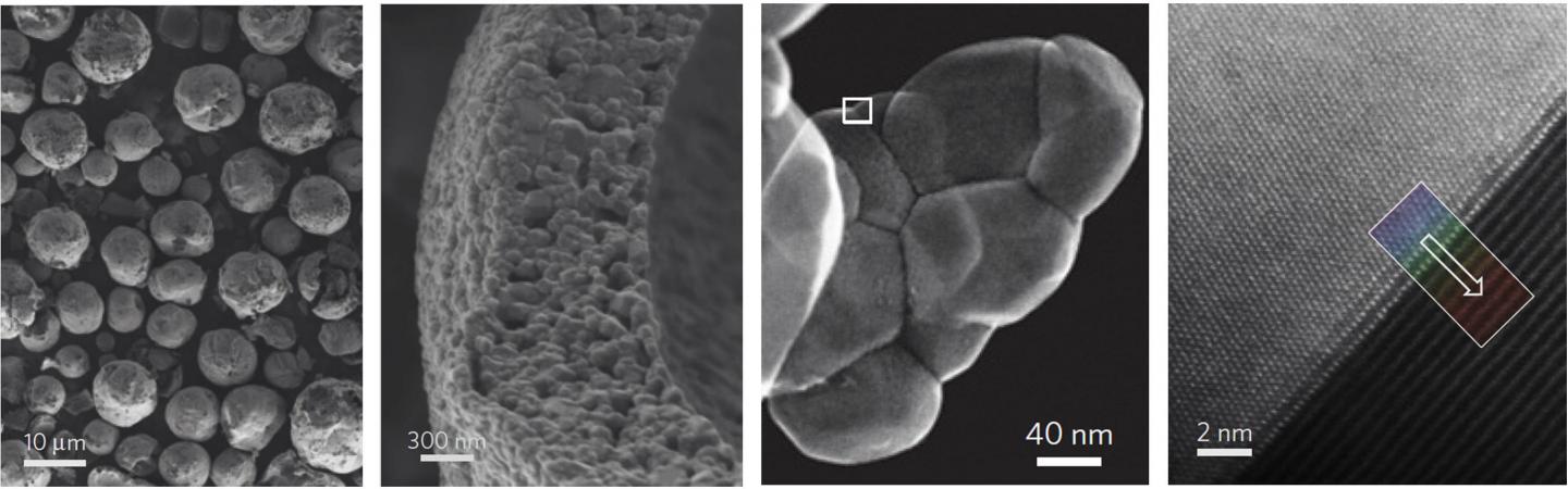 Electron Microscope Images