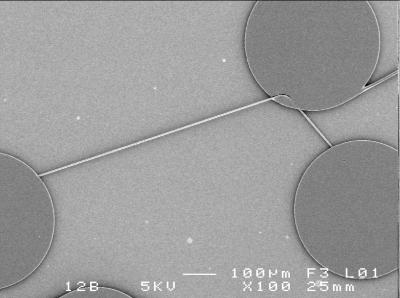 Silk Fiber on a Chip