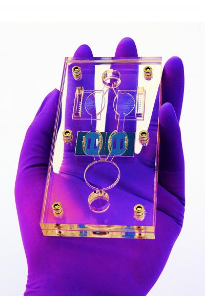 Hesperos Human-On-A-Chip System