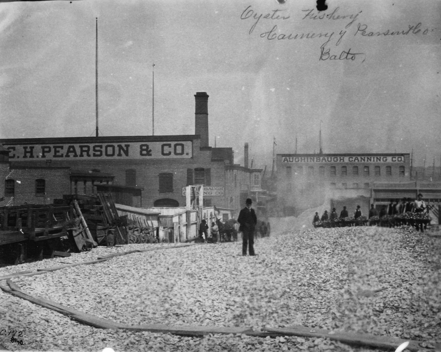 Oyster Fishing in the Eastern US