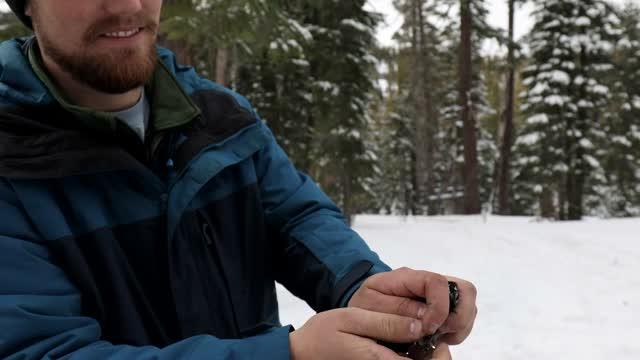 Mountain Chickadee Natural Selection Hinges on Spatial Cognition