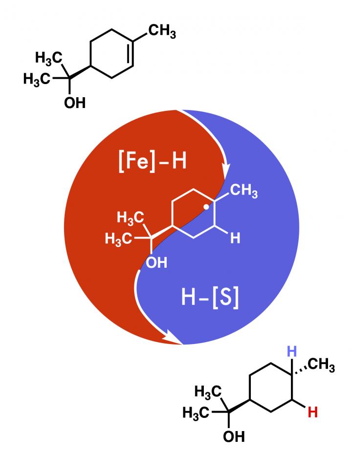 HYDROGEN 1