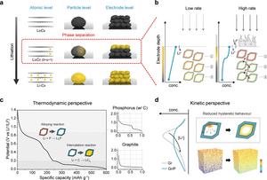 The reaction heterogeneity on graphite at the atomic, particle, and electrode levels.