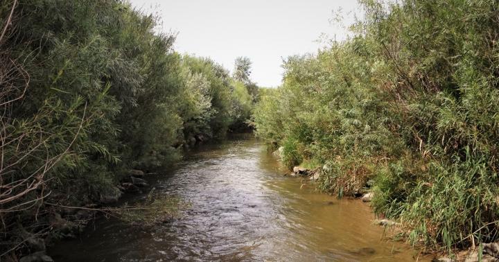 Lammers BDC Restoration