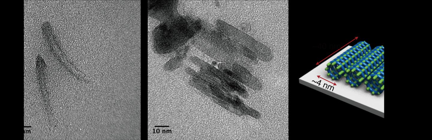 TEM Images of Covalent ONT