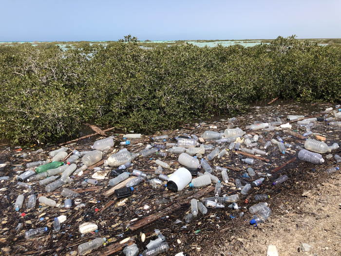 Ocean Seafloor Identified as the Ultimate Sink for Marine Plastics