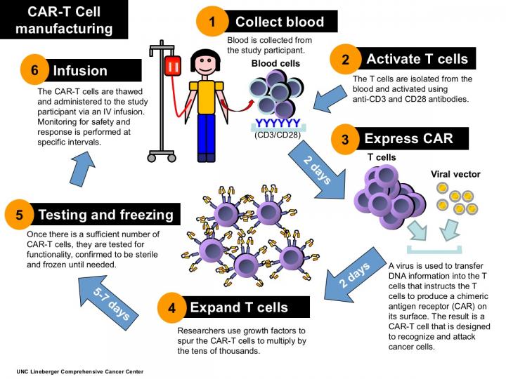 CAR-T Cell Manufacturing