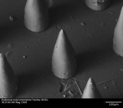 Biodegradable Microneedles