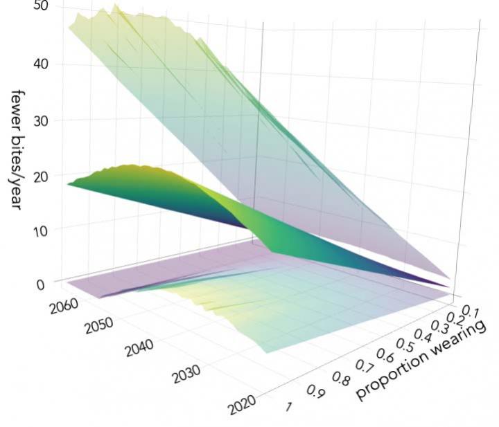 Representation of the number of people avoiding shark bites from 2020 to 2066 by wearing electronic deterrents