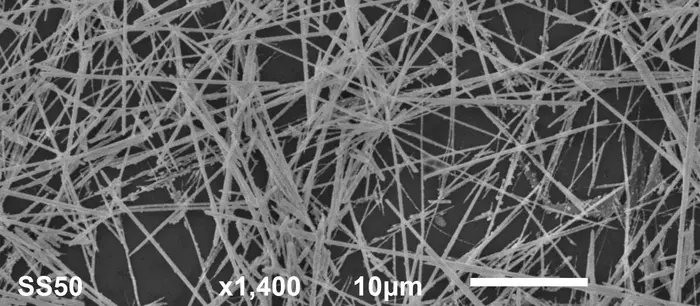 Close-up: nanowire neural network