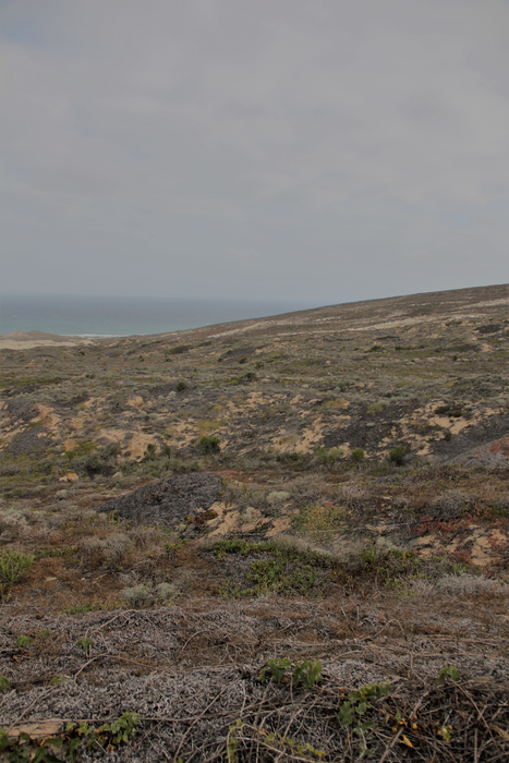 San Nicolas Island drought