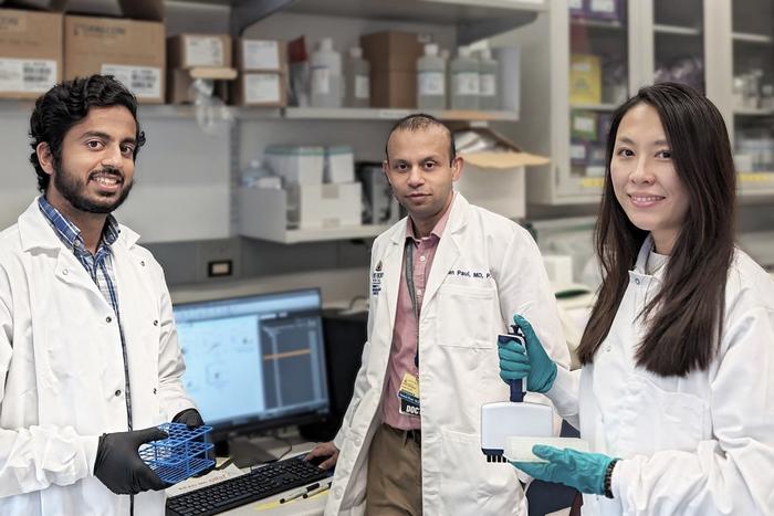 Johns Hopkins Investigators Develop Novel Treatment for T-cell Leukemias and Lymphomas