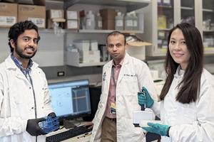 Johns Hopkins Investigators Develop Novel Treatment for T-cell Leukemias and Lymphomas