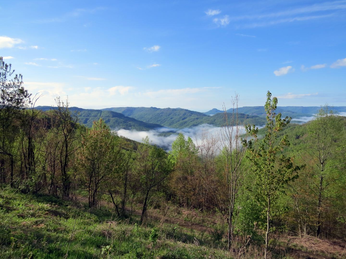 Tennessee's Cumberland Mountains