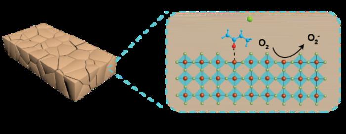 Schematic illustration of the effects of SEM-HCl additive on the tin perovskites.