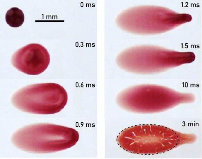 A tiny drop of blood during the millisecond it impacts a solid surface