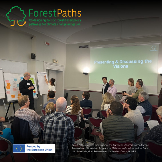 Participants during ForestPaths second Policy Lab in Varese, Italy 2024