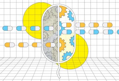 Combining Antibiotics 