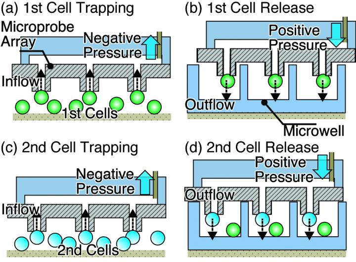 Single-Cell Manipulation