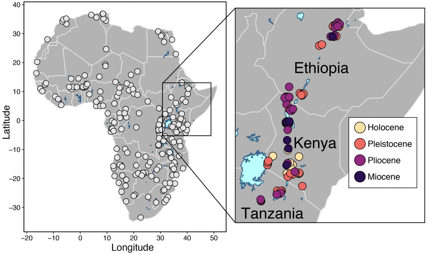 Modern and Fossil Mammal Communities