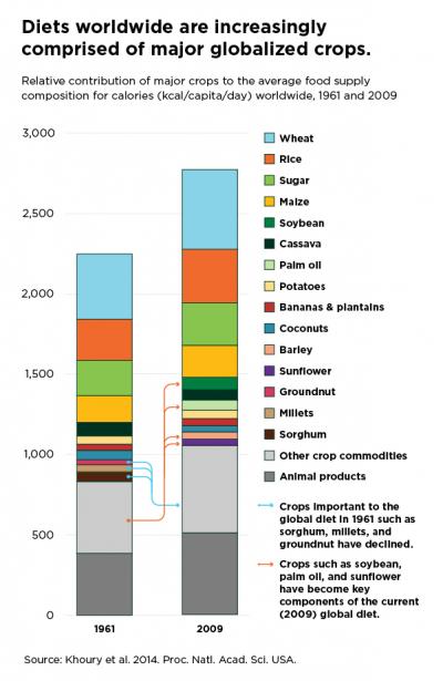 Diets Worldwide are Increasingly Comprised of Major Globalized Crops