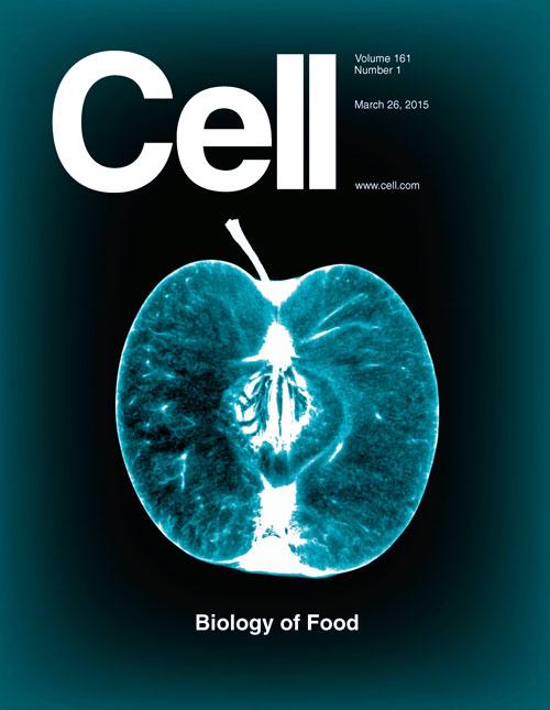 Biology of Food Cover