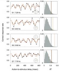 Action-To-Stimulus Delay Graphs Show that High Points of Brain Waves and Correct Answers Occur