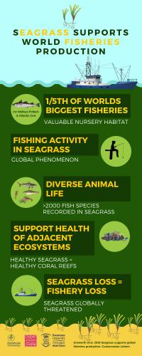 Seagrass Supports World Fisheries Production