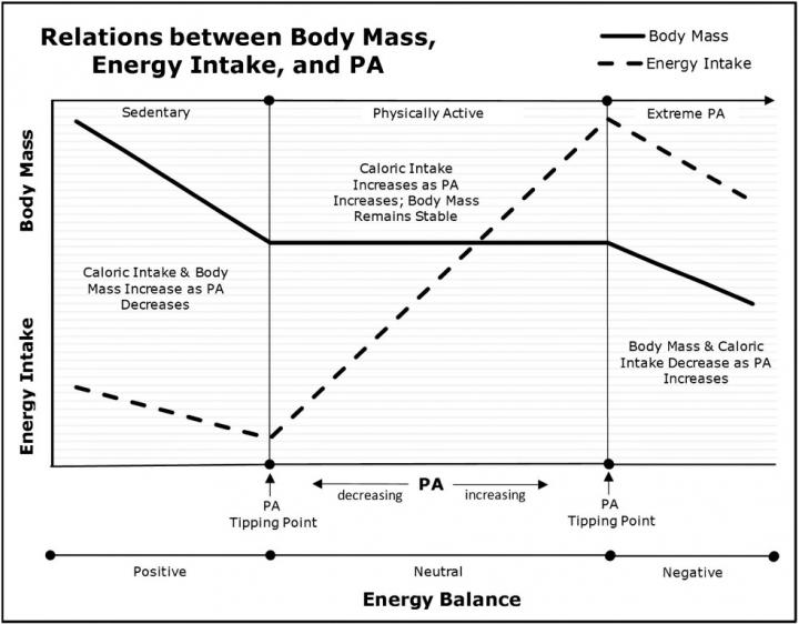 Relations between Body Mass, Energy Intake, and Physical Activity