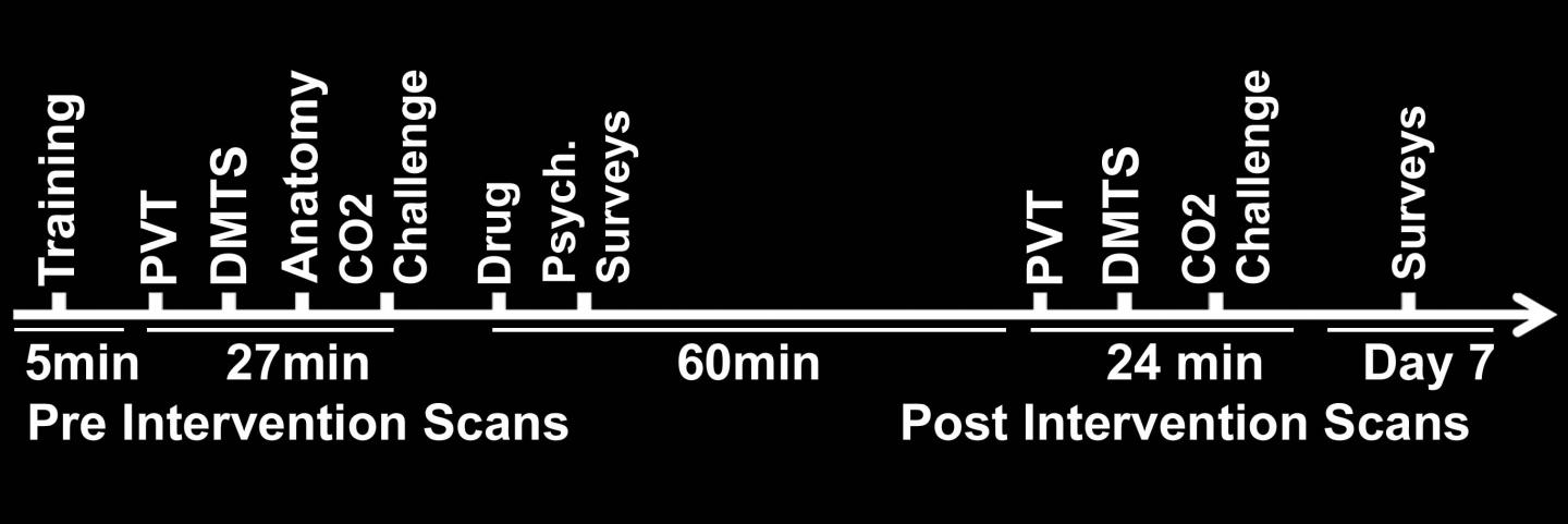 Figure 1: Functional MR Imaging and Surveys